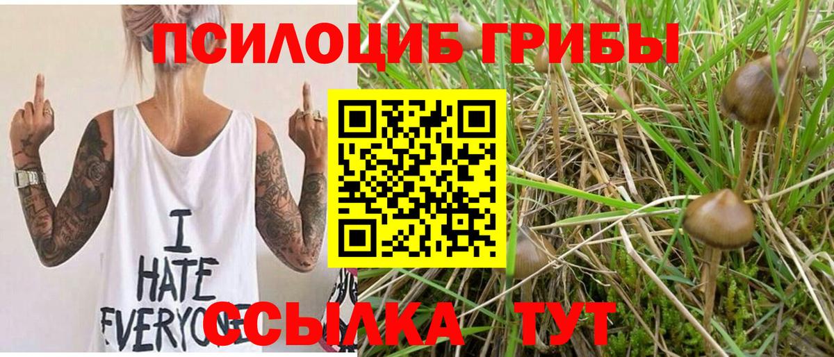Ачинск  Псилоцибиновые грибы ЛСД  Галлюциногенные грибы мухоморы  Вход с VPN 