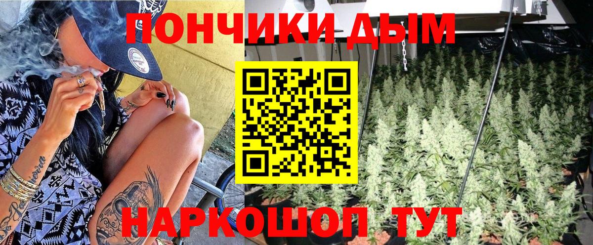 Шишки марихуана гибрид  Вход с VPN  Ачинск  Каннабис марихуана  Шишки марихуана марихуана 